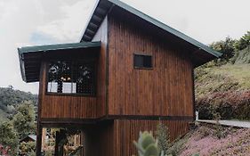 Lauraceas Lodge